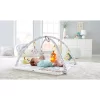 Fisher Price Fisher-Price Perfect Sense Deluxe Gym