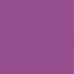 Kanga Care Rumparooz Reusable Cloth Diaper Cover Snap