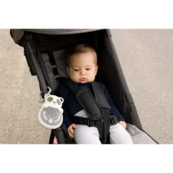 Cloud-B Cloud B Sweet Dreams On The Go Panda Toy -Baby World Shop GUEST 69264233 227e 4888 8523 e39a1b6dbd65