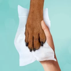 Pampers® Pampers Multi-Use Baby Wipes (Select Count) -Baby World Shop GUEST ae3c826e 8f46 4d5a a707 fc047fa58e58