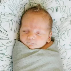 Red Rovr Organic Cotton Muslin Swaddle Blanket - 2pk